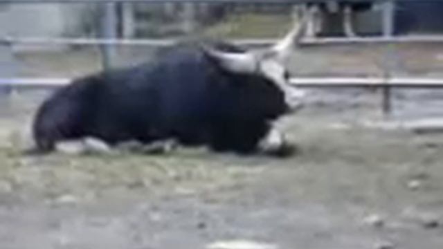 Иван Евсеенко " Сонное время" смотреть онлайн