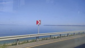 Приехали в санаторий профилакторий "Железнодорожник" Нижегородской области.