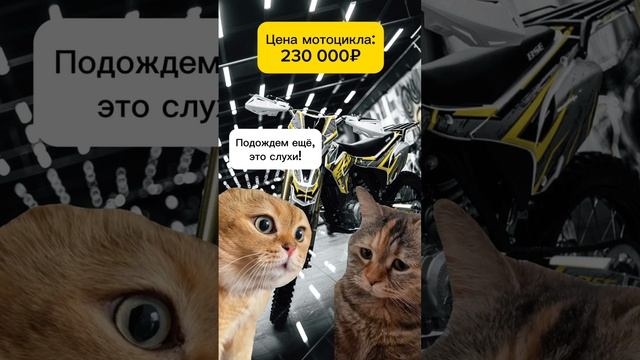 Жизненно?? Отправь такому другу! #питбайк #эндуро #мото #юмор #пит #moto #мем