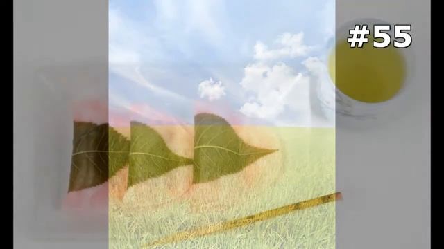 #55. Блюда из риса (Еда и напитки) смотреть онлайн