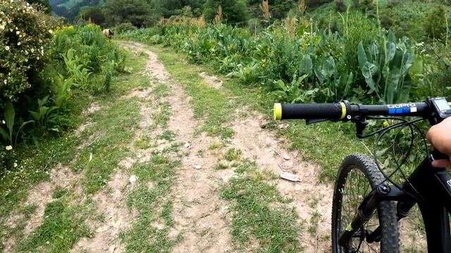 Велопрогулка подъем в горы. Карагайлы