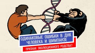 Одинаковые ошибки в ДНК человека и шимпанзе