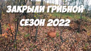 Закрыли грибной сезон 2022. Последний в этом году поход за грибами. Собрали подосиновики и белые.