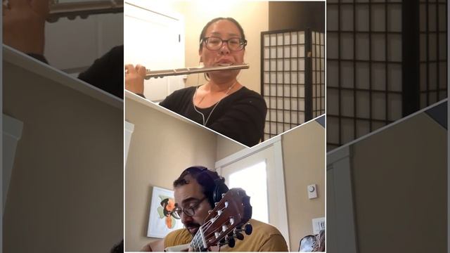 Saint-Saens The Swan for flute and guitar смотреть онлайн