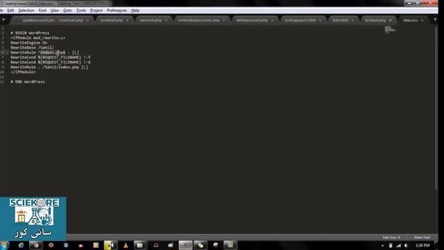 Wordpress Course|Why is .htaccess Used| How to hard Reset WP Password| اردو/हिंदी [ Lesson 14] смотреть онлайн