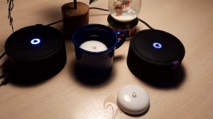 Алиса предупреждает о протечке в доме