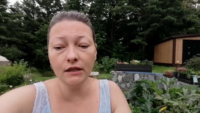 ВСЕГДА ТАК ОБРЕЗАЮ И УДОБРЯЮ | КЛУБНИКА ПОСЛЕ ПЛОДОНОШЕНИЯ