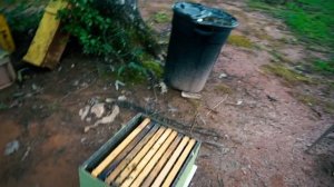 Пасека #51 Зачем нужен изолятор матки ? Ограничения матки в яйцекладке Пасека.Пчеловодство