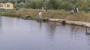 рыбалка рыбалка в подмосковье карп ловля карпа суперкарп белеутово karp fishing