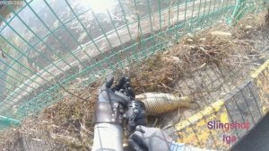 рогатка для рыбалки.испытание катушки JG25.