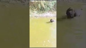 Первые занятия на подачу с воды.