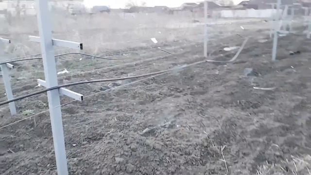 Как перезимовала земляника под агроспаном и чеснок смотреть онлайн