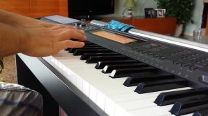 Improv piano instrumental CASIO CDP-200R