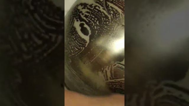 Greenleaf средство против масляных загрязнений смотреть онлайн