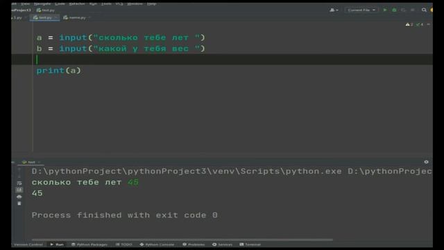 Python понятным языком за 17 минут! Команды int(),float(),input().Урок №1