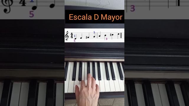 Escala D Mayor -PIANO- 🎹☺️ DIGITACION ☺️ #piano #teoriamusical