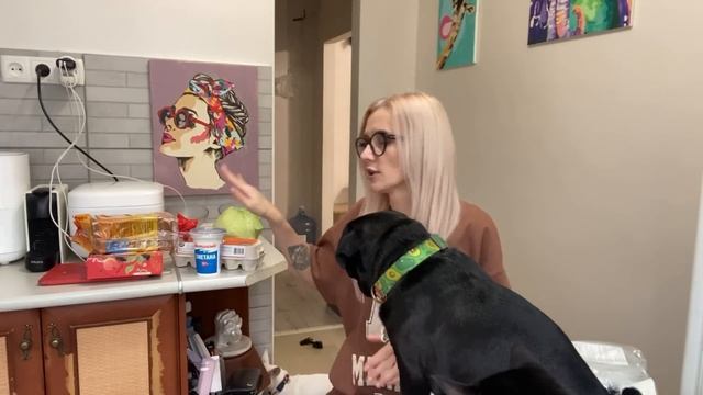 ВЛОГ. Хорошие и плохие новости. Нужен оберег. Кира проколола нос? смотреть онлайн