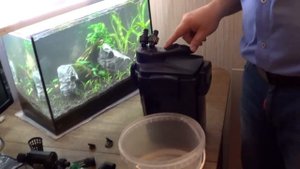 Запуск аквариума 35 литров. Часть 5. Заливаем воду. Устанавливаем оборудование