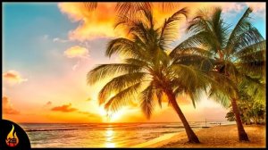 Island Reggae Music | Upbeat Tropics | Tropical Island Beach Music