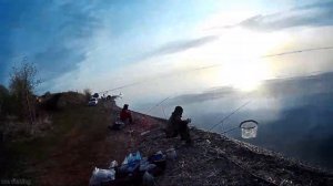 РЫБАЛКА Волга Студенцы! 5 ВИДОВ РЫБ    Рыбалка на фидер