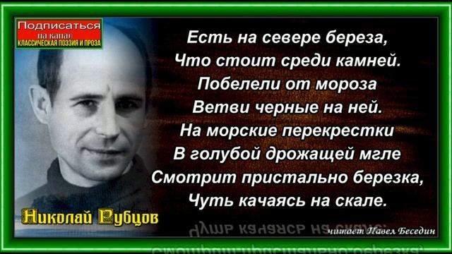 Берёза ,Николай Рубцов, Советская Поэзия, читает Павел Беседин