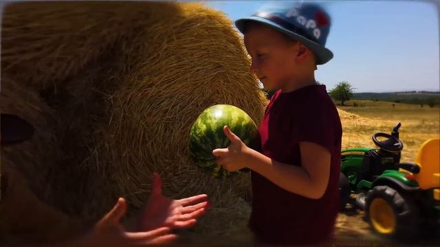 Лёва весело играет на ферме с папой, ездит на тракторе и кормит верблюда арбузами смотреть онлайн