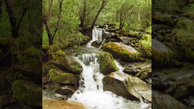 стих"Река и ручейки" чтение 3 класс 19 октября 2020 г. смотреть онлайн