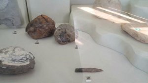 КРАСНОДАР | Музей Фелицына | Прогулки по весеннему городу