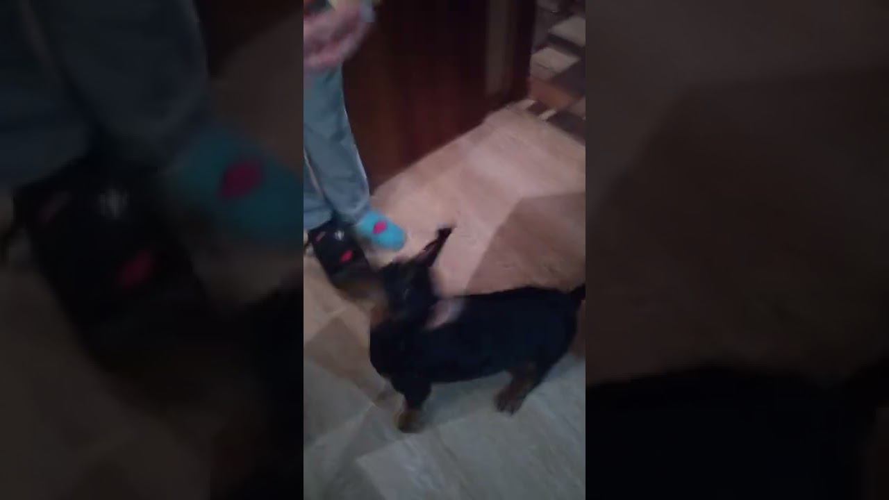 Я люблю мороженное смотреть онлайн