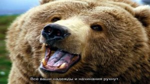 К чему снятся крысы?