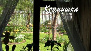 Кормушка. Дачные картинки 2022.