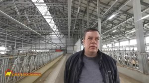 Отзыв от инженера о работе системы отопления ТЕПЛОПАНЕЛЬ в коровнике «ЖК АЛЕКСАНДРОВСКИЙ»