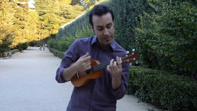 Back to black - Amy Winehouse ukulele cover (Bushman ukulele contest 2012) смотреть онлайн