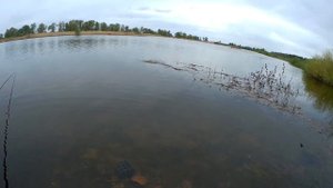 Волга разлилась. Ищем рыбу в разливах. Рыбалка в Саратовской области. 10.05.2021 г.