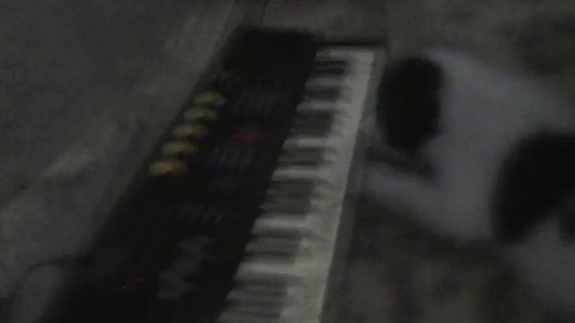 Ο σκύλος πεζει πιάνο???? смотреть онлайн