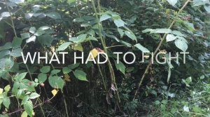 Ножницы для живой изгороди Gardena NatureCut обзор\Gardena NatureCut hedge trimmer review