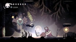 HOLLOW KNIGHT - How to Beat Markoth and Get 250 Essence
