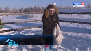 Косули на правильном питании. В Якутии открыли таежные столовые для копытных