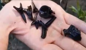 Троицкая яма, Ч 2 Показываем что нашли.