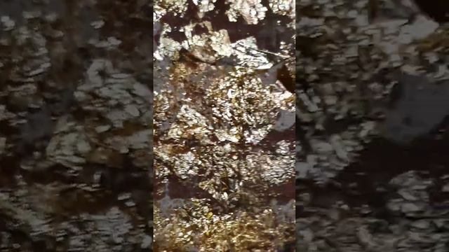 Вход в буддийский храм. Выход вы уже видели. Ритуал сусального золота смотреть онлайн