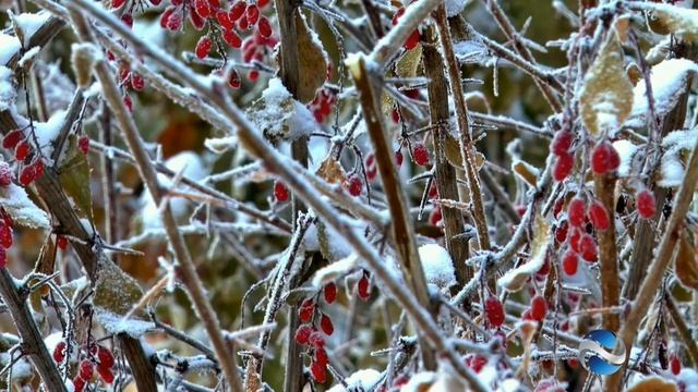 Ирина Рейн Зима смотреть онлайн