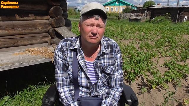 Реанимируем картофель после гербицида!