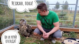 Кошка Морошка гонит собаку и насмехается над ней! Егор ломает крышу и, как обычно, бесит сову Ёлку