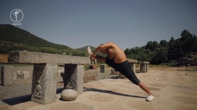 Суровые тренировки НАСТОЯЩЕГО ШАОЛИНЬСКОГО МОНАХА - Shifu Yan Lei смотреть онлайн