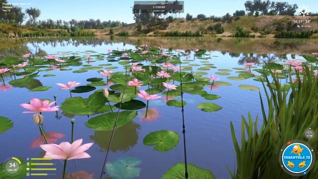 Русская рыбалка 4 (На Ахтубе) смотреть онлайн