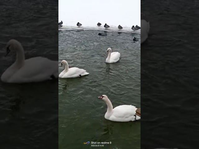 3 февраля 2023 г. смотреть онлайн