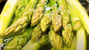 Аспарагус (спаржа)