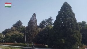 Боги ботаники Душанбе Ботанический сад Душанбе