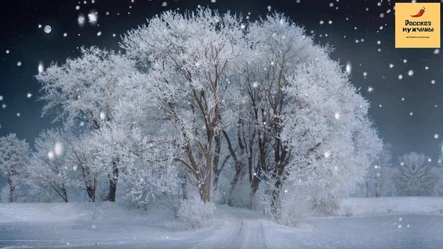 Рассказ мужчины | Измена жены. Спалил переписку жены с любовником. Реальная история смотреть онлайн