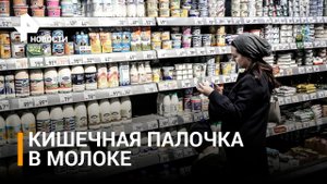 Роскачество нашло кишечную палочку в молоке 13 торговых марок / РЕН Новости
